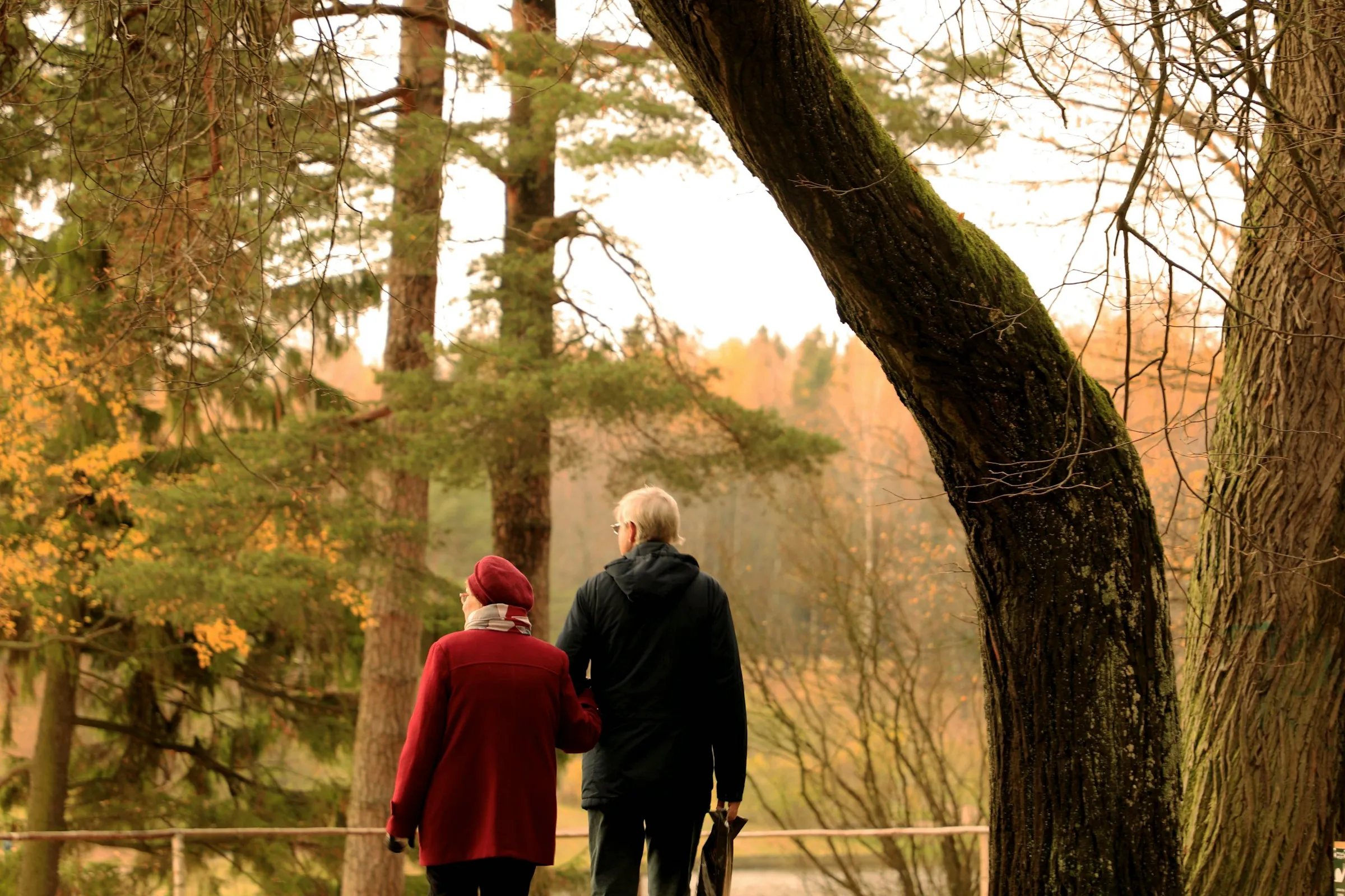 An elderly couple taking a walk in the woods