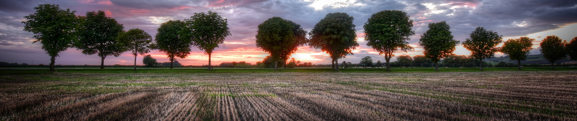 A photo of a sunset